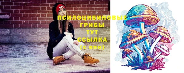 PSILOCYBIN Нея