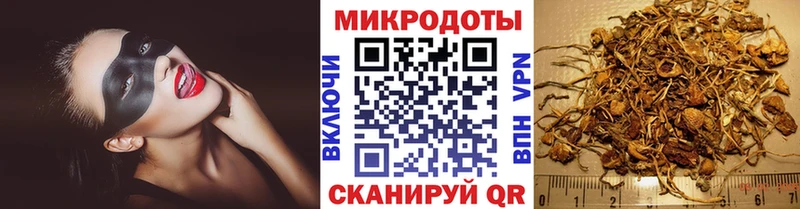 Галлюциногенные грибы MAGIC MUSHROOMS Гаджиево
