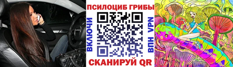 Псилоцибиновые грибы Cubensis  Гаджиево 